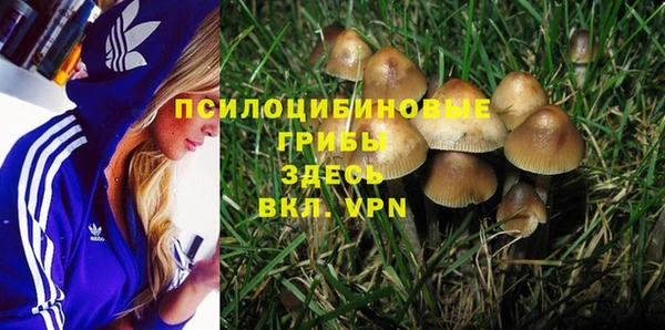 спайс Верея