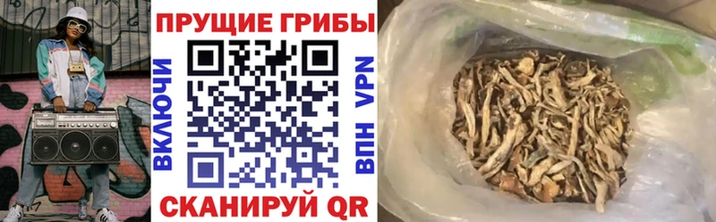 Псилоцибиновые грибы Psilocybe  как найти закладки  гидра зеркало  Луга 